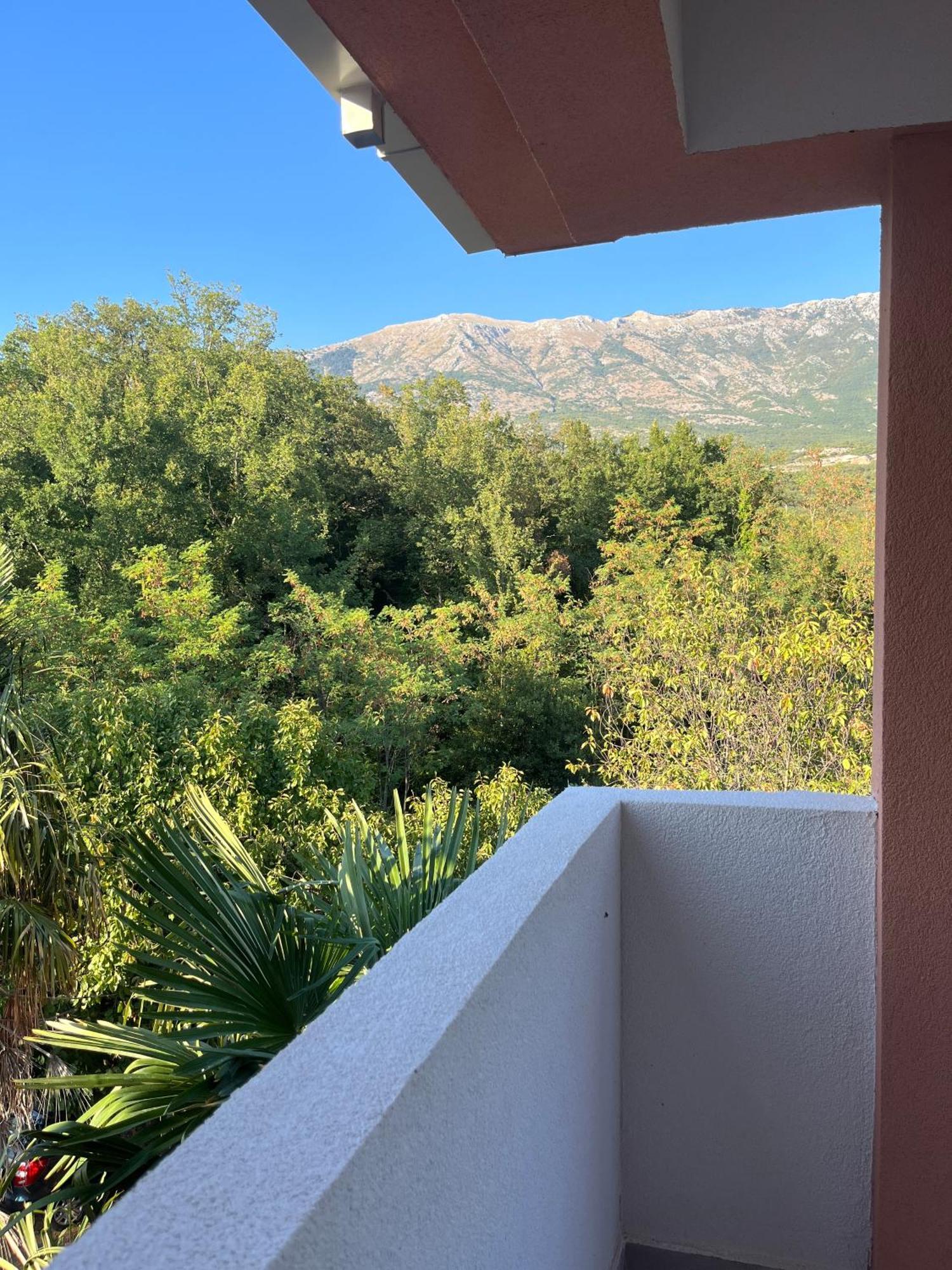 Apartments Two Olives Κότορ Εξωτερικό φωτογραφία